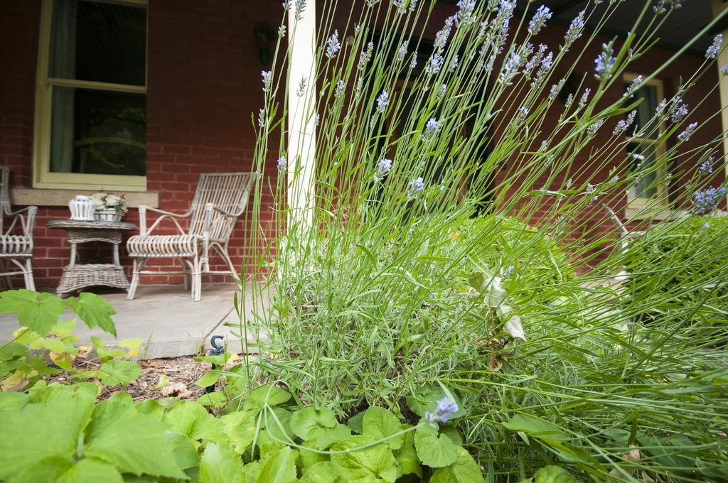 The Graces Beechworth Exterior foto